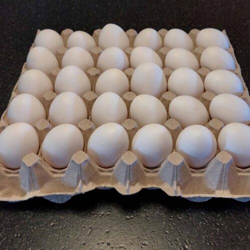 Witte eieren per 60 stuks